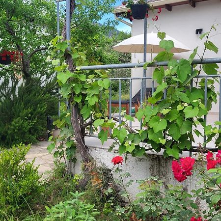 Ioannis Houses - Gemuetliches Ferienhaus Im Olivenhain Skala Potamia  Exteriér fotografie