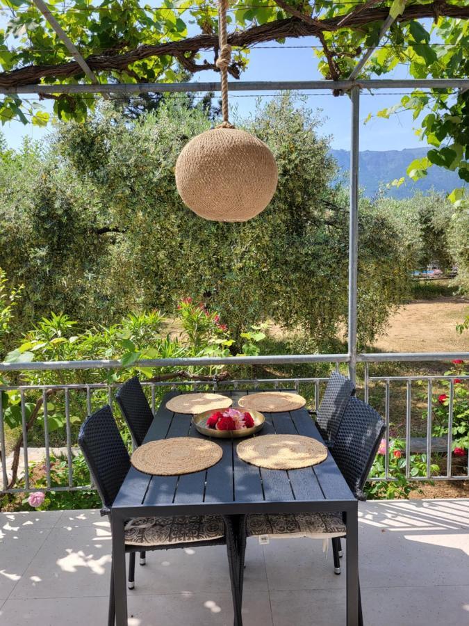 Ioannis Houses - Gemuetliches Ferienhaus Im Olivenhain Skala Potamia  Exteriér fotografie